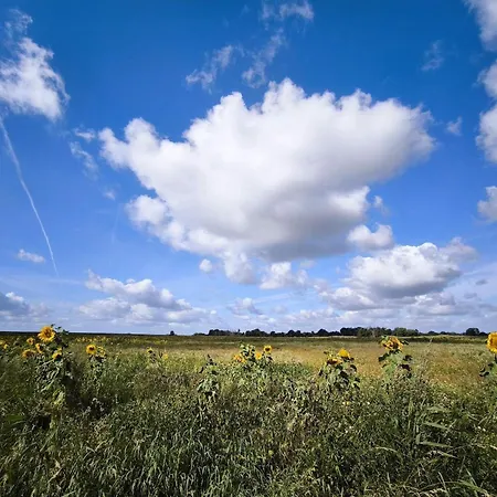 Holiday home 5 Star In Sydals-by Traum Skovmose